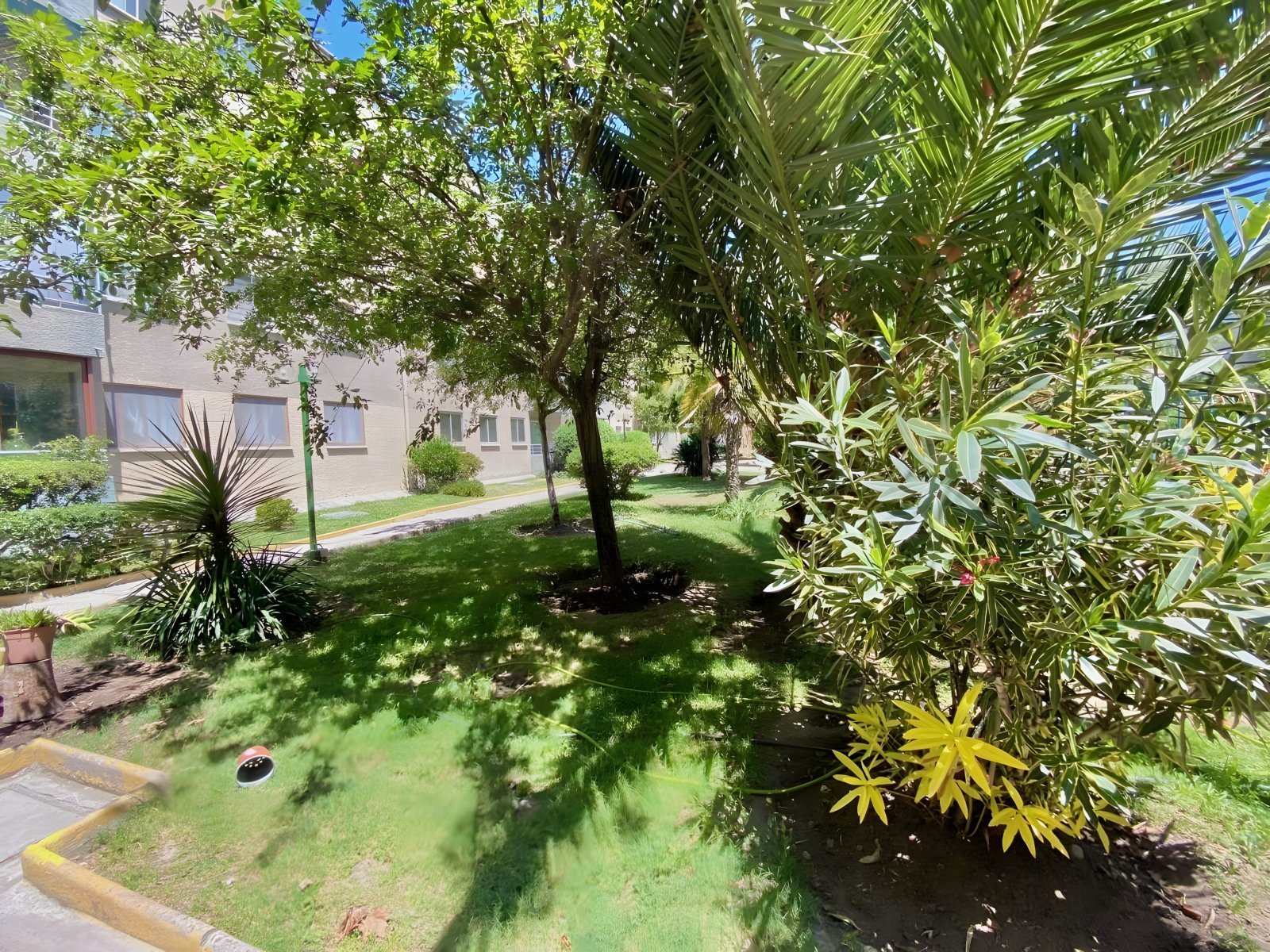 imgi_23_7f3b8daf6ee263e8c2ed86ca60687258