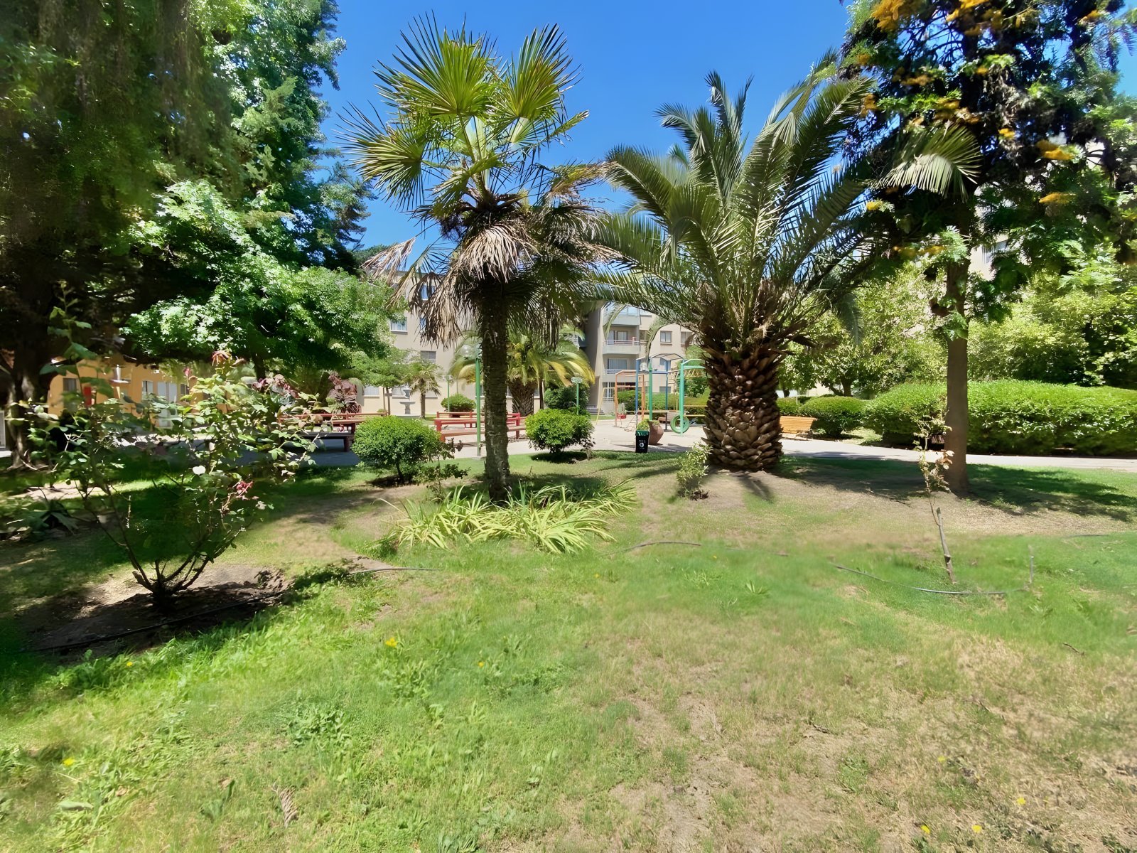 imgi_24_67375fa7a21102a5f29e77ce5524f55c