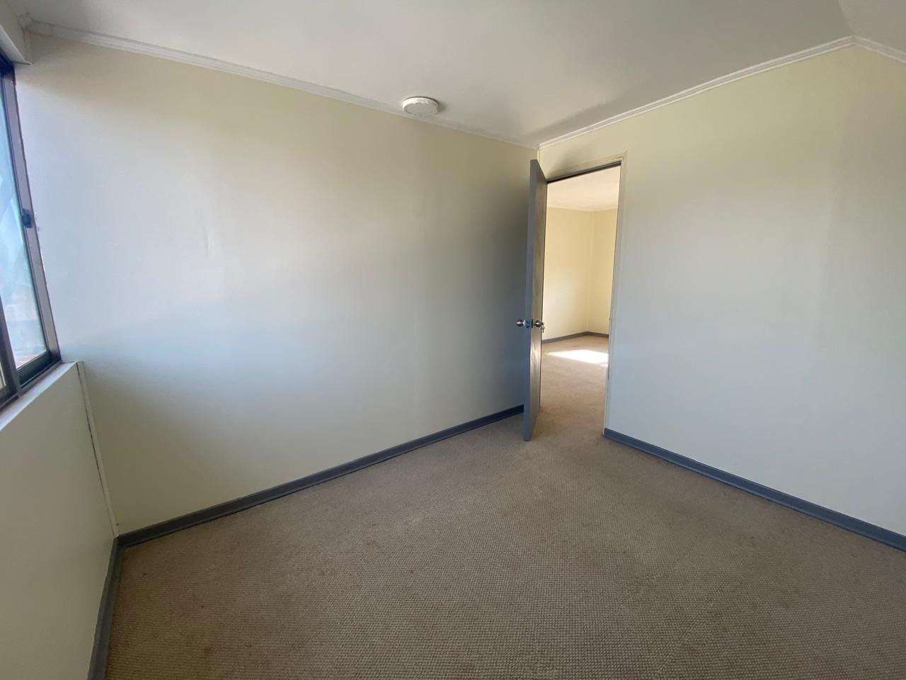 imgi_34_48b16643dbdc6cd11587c507efb744e7